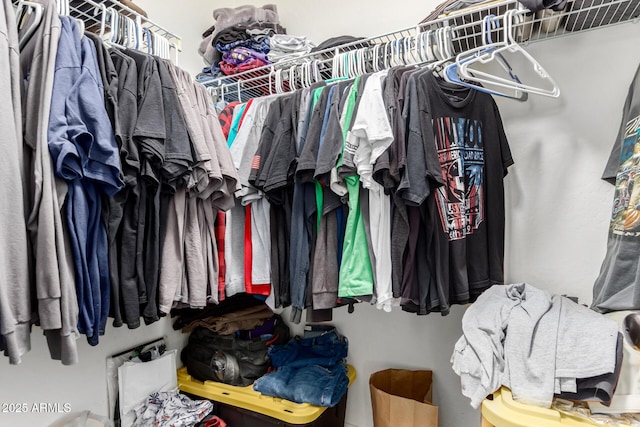 view of spacious closet