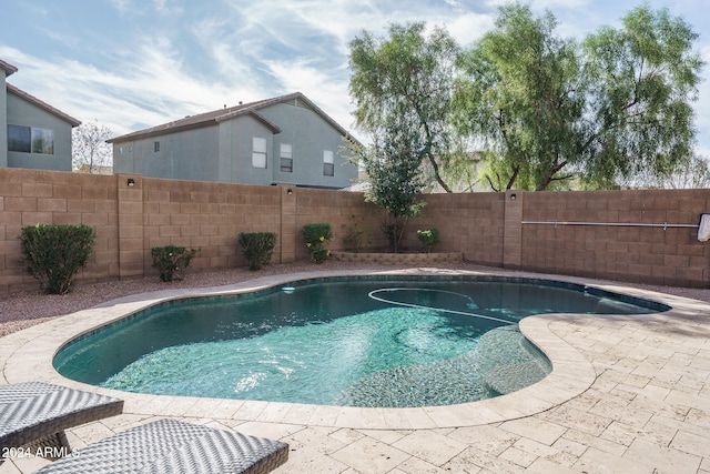 view of swimming pool featuring a patio