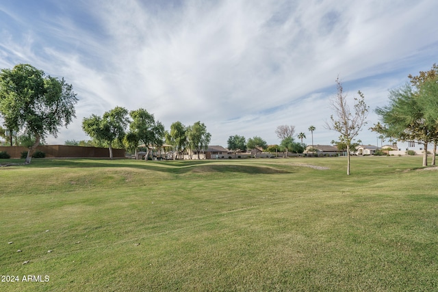 view of community with a yard