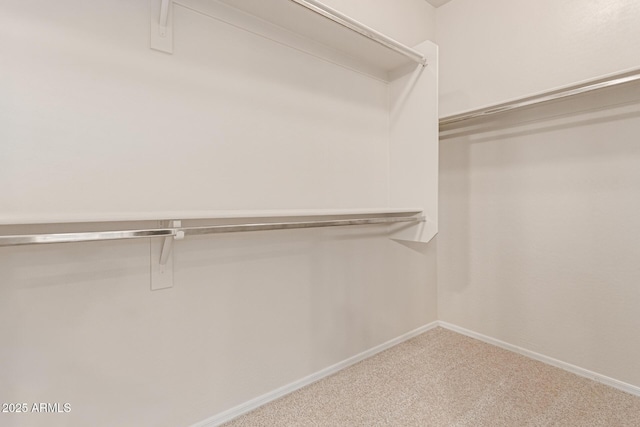 4051 E Torrey Pines Ln E, Chandler, AZ 85249 - walk in closet featuring carpet