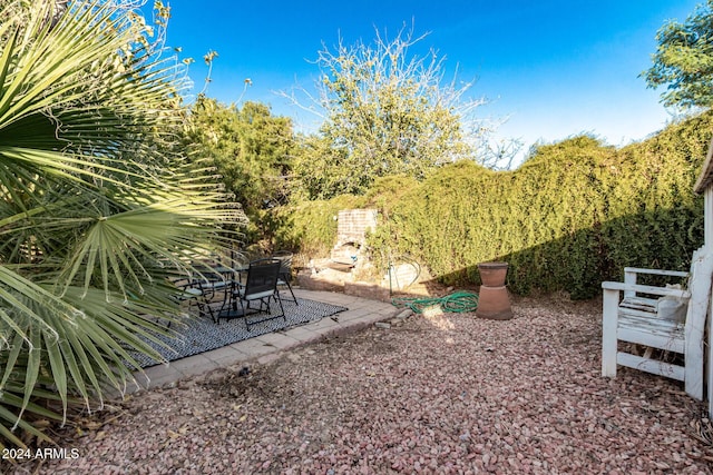 view of yard featuring a patio area