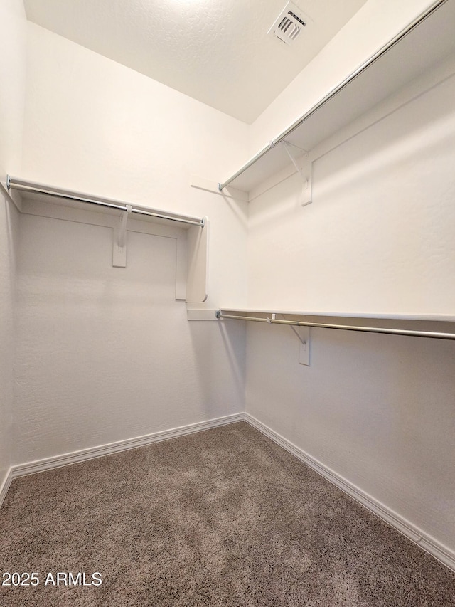 19954 W Moonlight Path, Buckeye, AZ 85326 - walk in closet with carpet floors