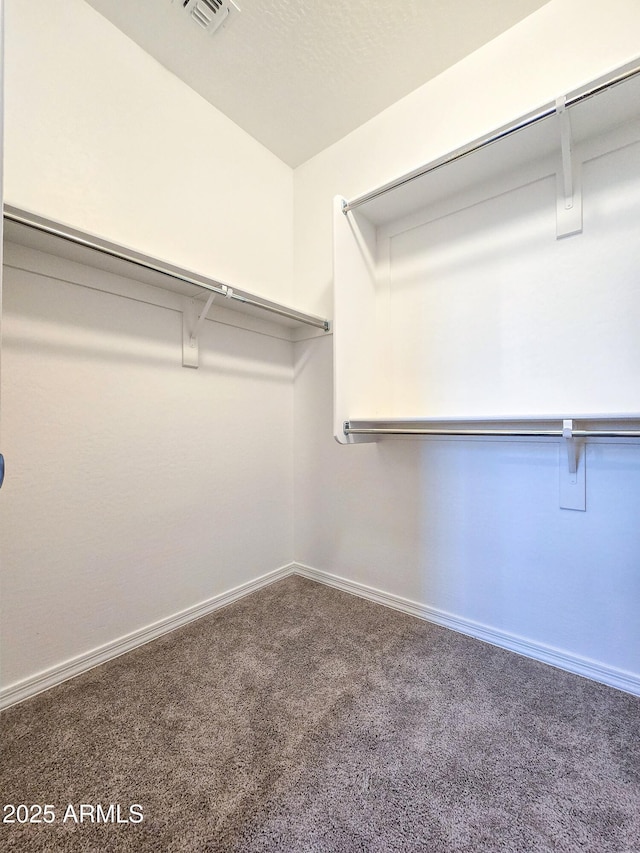 19954 W Moonlight Path, Buckeye, AZ 85326 - spacious closet featuring carpet floors