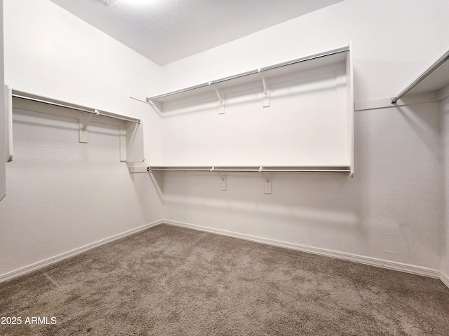 19954 W Moonlight Path, Buckeye, AZ 85326 - spacious closet with carpet flooring