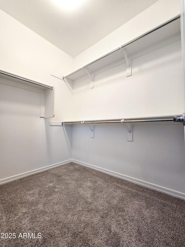19954 W Moonlight Path, Buckeye, AZ 85326 - spacious closet with carpet