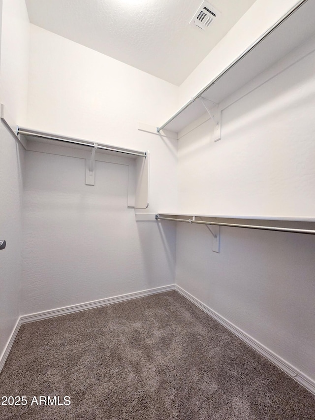 19954 W Moonlight Path, Buckeye, AZ 85326 - walk in closet with carpet floors