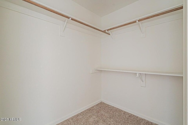 spacious closet with carpet flooring