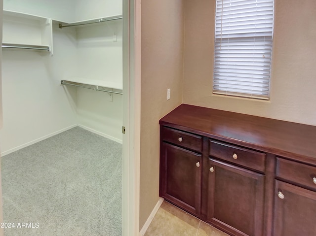 walk in closet with light carpet