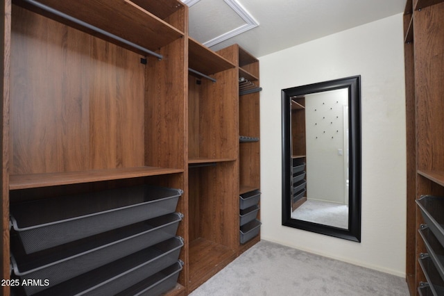 20258 S 196th St, Queen Creek, AZ 85142 - walk in closet featuring carpet