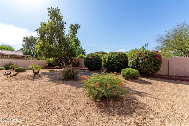 3740 W Kent Dr, Chandler, AZ 85226 - view of fenced backyard