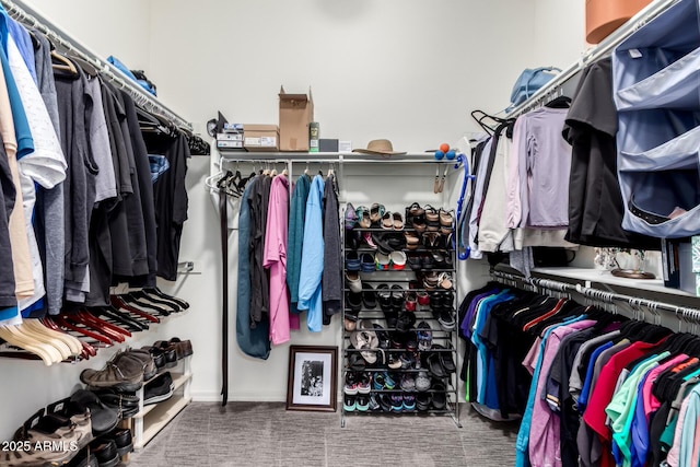 spacious closet featuring carpet