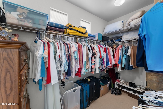 spacious closet featuring carpet