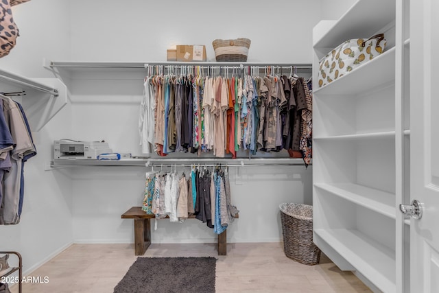 view of spacious closet