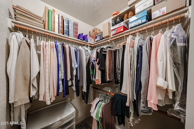 view of spacious closet