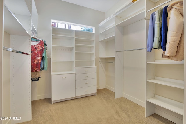 walk in closet featuring light colored carpet