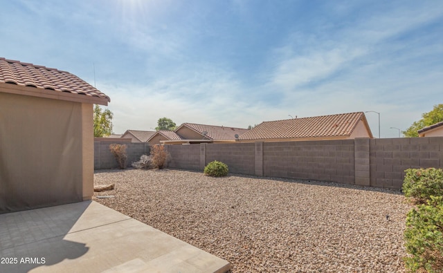 view of yard featuring a patio area