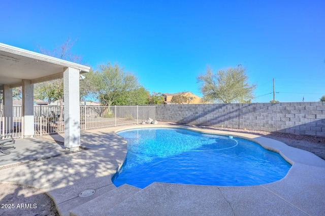 view of pool featuring a patio