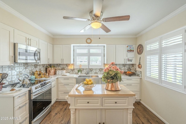 kitchen featuring a wealth of natural light, wood finished floors, wooden counters, and stainless steel appliances