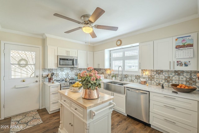 kitchen featuring wooden counters, dark wood-style flooring, appliances with stainless steel finishes, and a sink