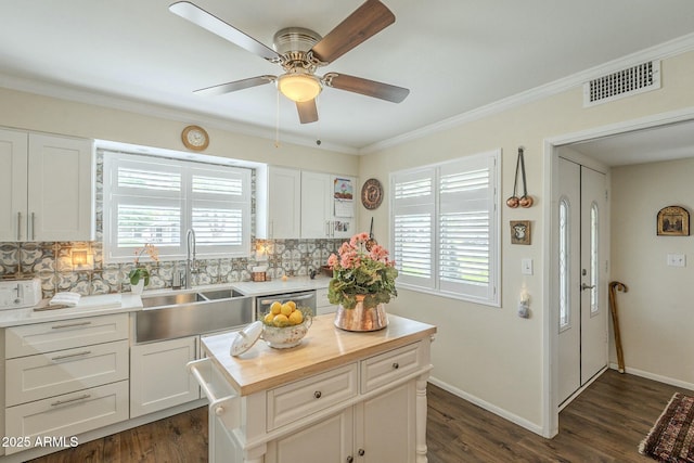 kitchen featuring plenty of natural light, visible vents, backsplash, and a sink