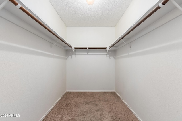 walk in closet featuring carpet flooring