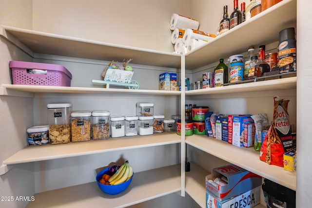 view of pantry