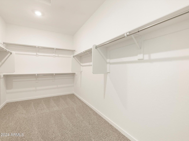 spacious closet featuring light colored carpet