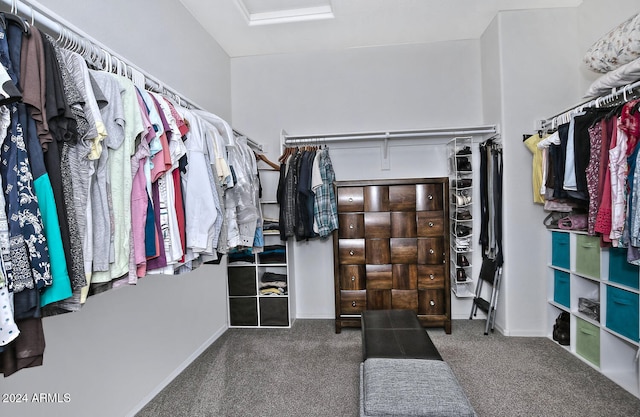 walk in closet with dark carpet