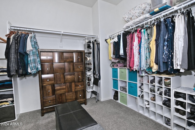 spacious closet with carpet