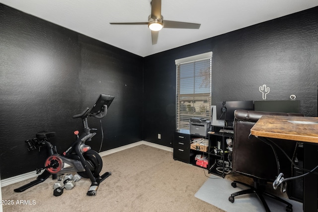 office space with carpet flooring and ceiling fan