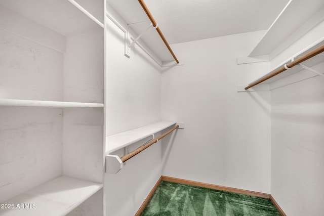 7037 N 11th Dr, Phoenix, AZ 85021 - spacious closet featuring carpet