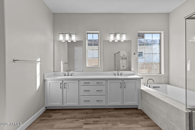 bathroom with a wealth of natural light, a sink, and wood finished floors