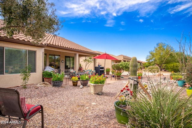 view of yard with a patio area