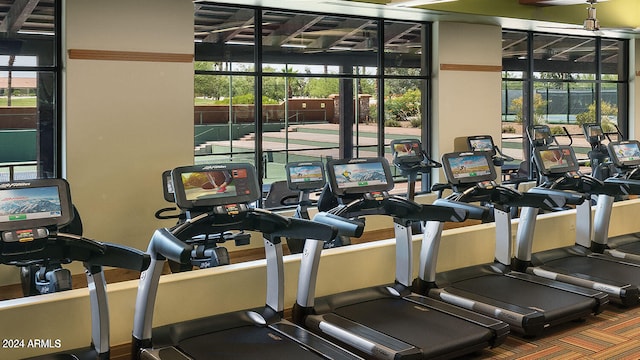 exercise room with a wealth of natural light