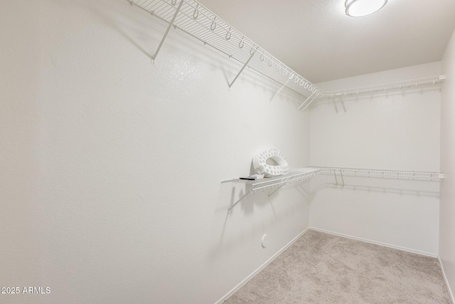 walk in closet featuring light colored carpet