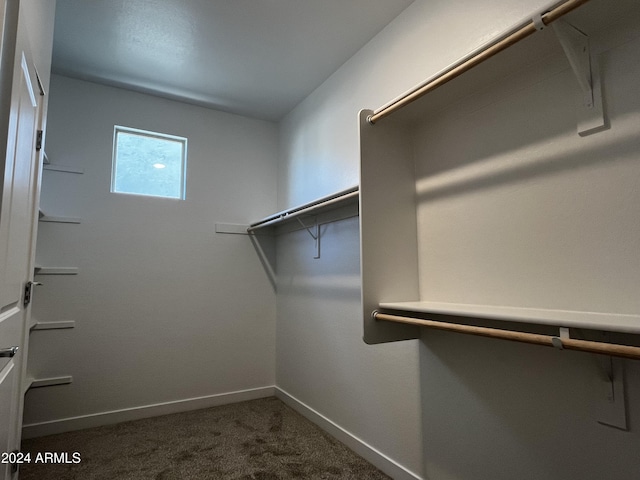 walk in closet with dark colored carpet