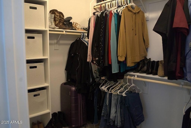 view of spacious closet