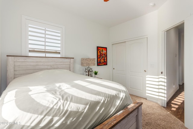 bedroom featuring carpet and a closet