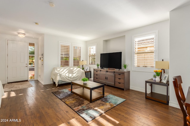 living room with dark hardwood / wood-style flooring