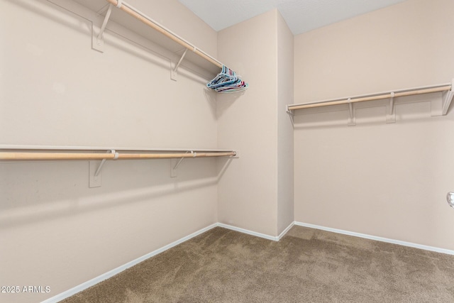 spacious closet with carpet floors