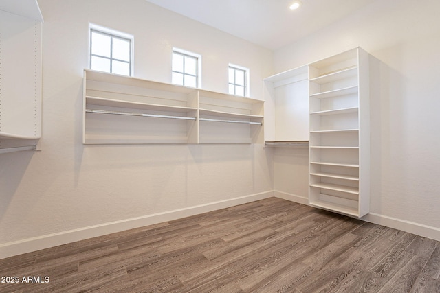 spacious closet featuring dark hardwood / wood-style flooring