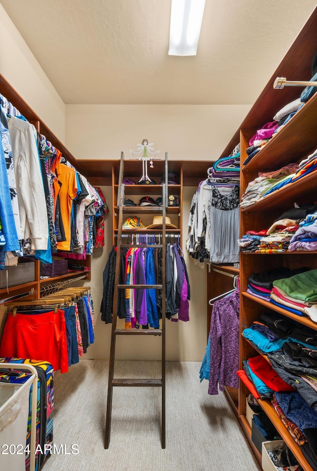 spacious closet featuring carpet