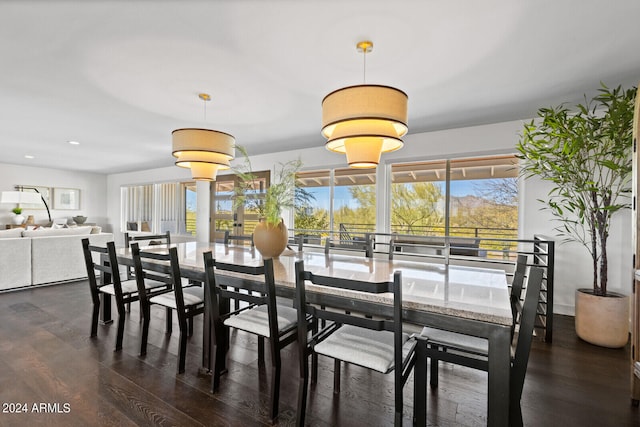 dining space with dark hardwood / wood-style floors