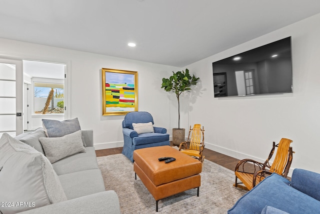 living room featuring wood-type flooring