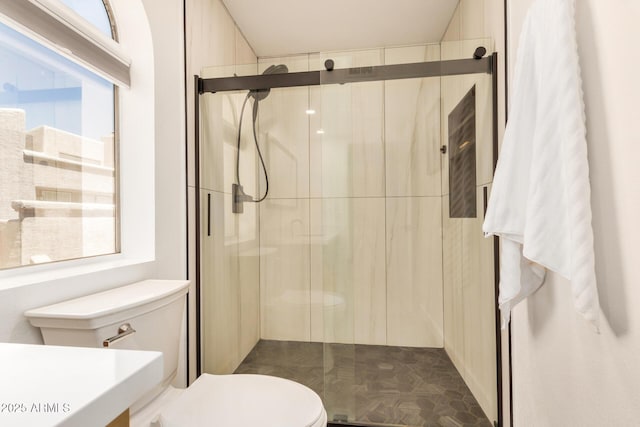 bathroom with toilet and a shower stall