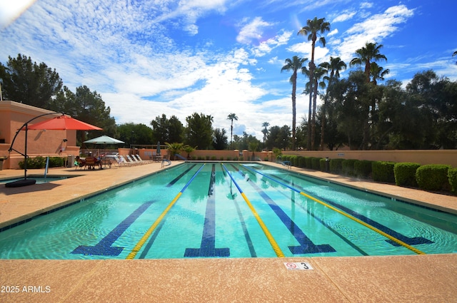 view of pool with a patio