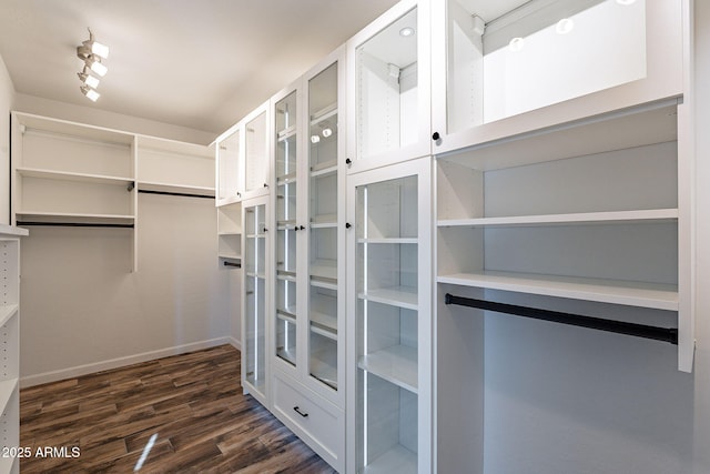 spacious closet featuring dark wood-type flooring