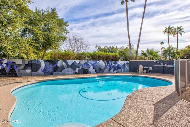 view of swimming pool