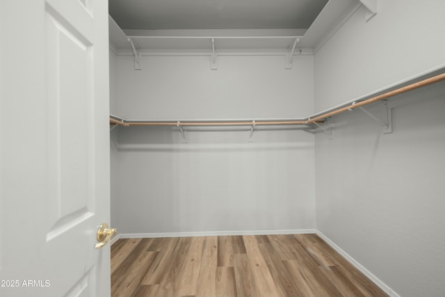 walk in closet featuring wood finished floors