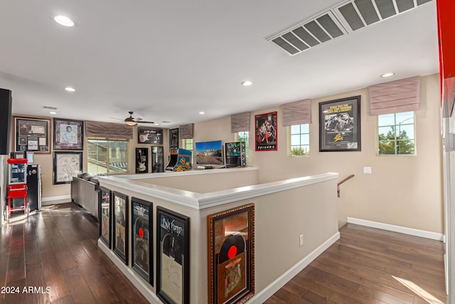 kitchen with ceiling fan and dark hardwood / wood-style flooring